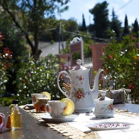 Exanthia Villas Εξωτερικό φωτογραφία