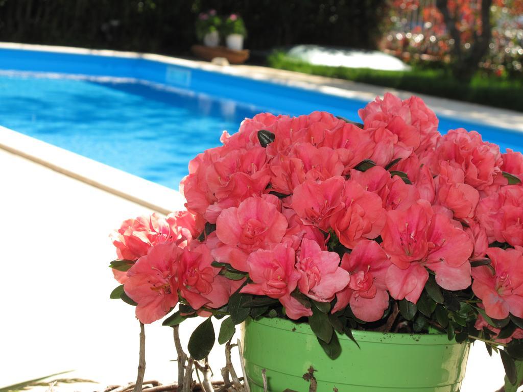 Exanthia Villas Εξωτερικό φωτογραφία