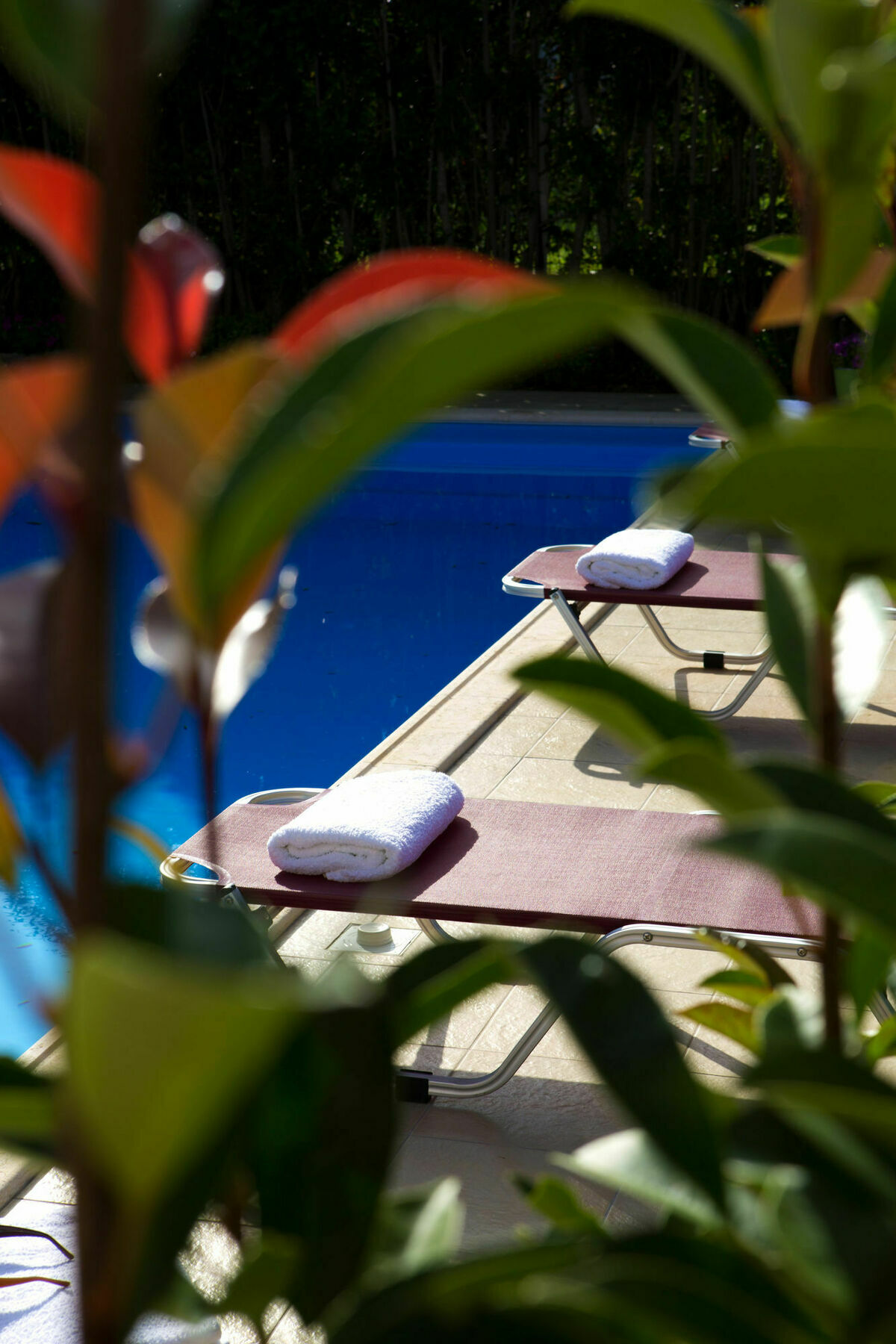 Exanthia Villas Εξωτερικό φωτογραφία
